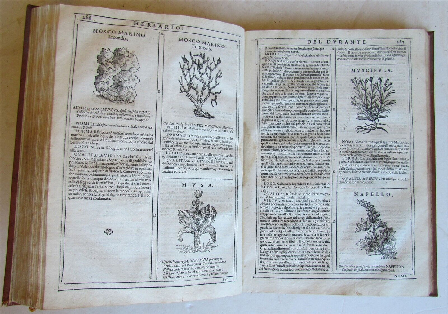 1667 HERBARIO NOVO by Castore DURANTE antique PLANTS BOTANY FULLY ILLUSTRATED