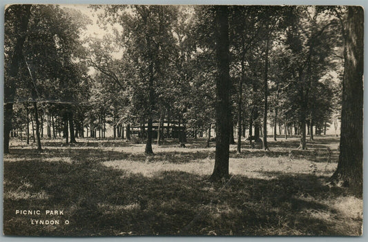 LYNDON OH PICNIC PARK ANTIQUE REAL PHOTO POSTCARD RPPC