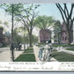 BROOKLYN NY CLINTON AVENUE 1905 ANTIQUE POSTCARD