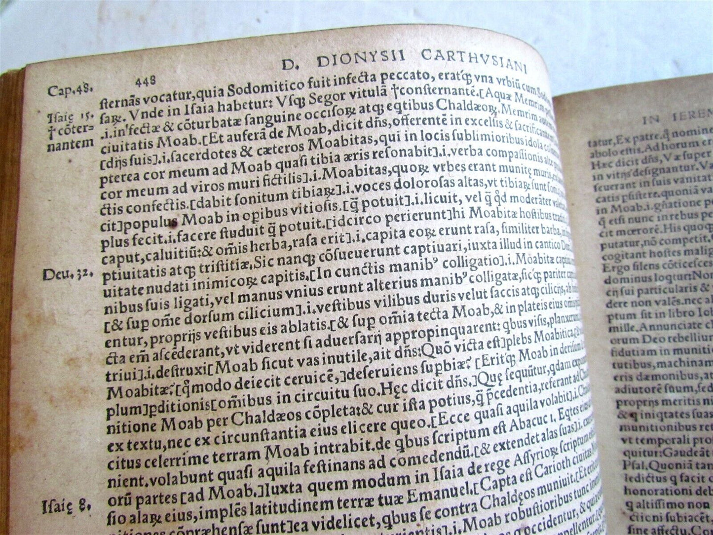 1548 Book of Prophets Commentaries by Dionysius Carthusian antique FOLIO vellum