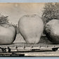 EXAGGERATED CALIFORNIA APPLES ANTIQUE REAL PHOTO POSTCARD RPPC COLLAGE railroad