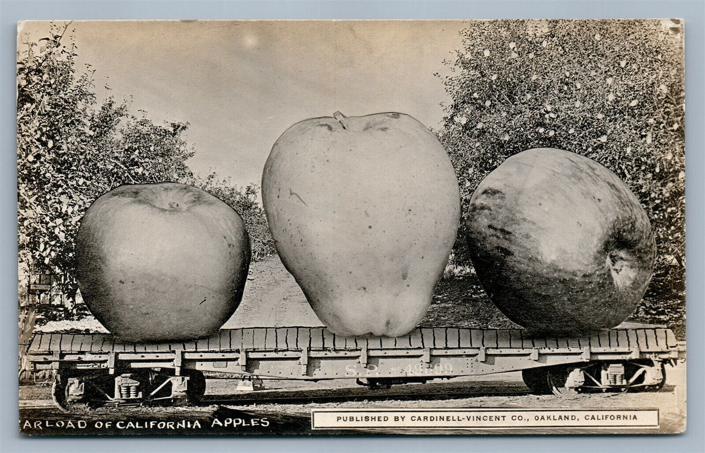 EXAGGERATED CALIFORNIA APPLES ANTIQUE REAL PHOTO POSTCARD RPPC COLLAGE railroad