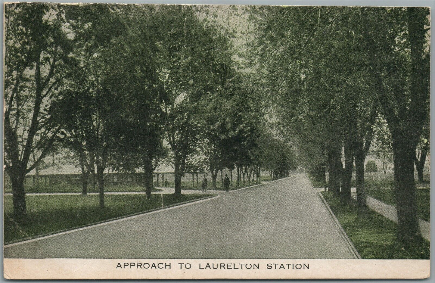 LAURELTON PA APPROACH TO STATION ANTIQUE POSTCARD