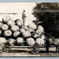 EXAGGERATED APPLES LOAD 1910 ANTIQUE REAL PHOTO POSTCARD RPPC COLLAGE CANADA