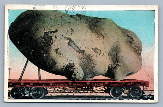 EXAGGERATED POTATO on RAILROAD CAR ANTIQUE POSTCARD