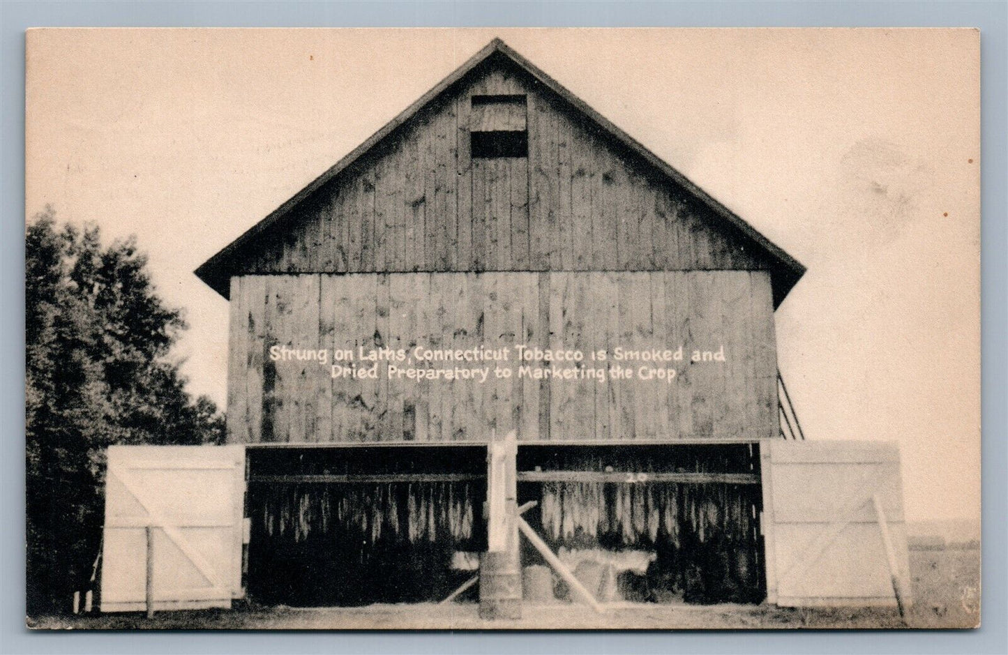 CONNECTICUT TOBACCO ADVERTISING VINTAGE POSTCARD