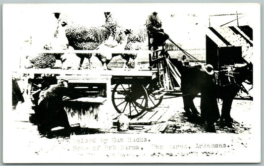 VAN BUREN AR EXAGGERATED CHICKEN 1949 VINTAGE REAL PHOTO POSTCARD RPPC