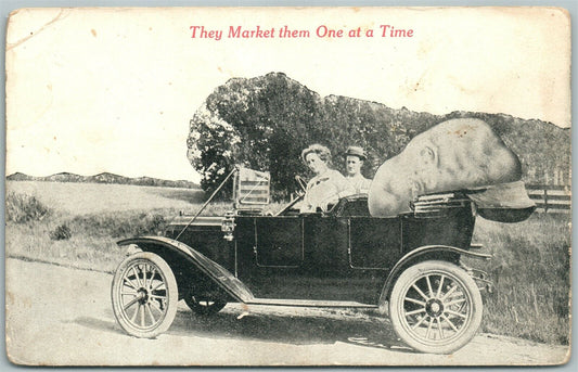 THEY MARKET THEM ONE AT A TIME EXAGGERATED ANTIQUE POSTCARD farming AUTOMOBILE