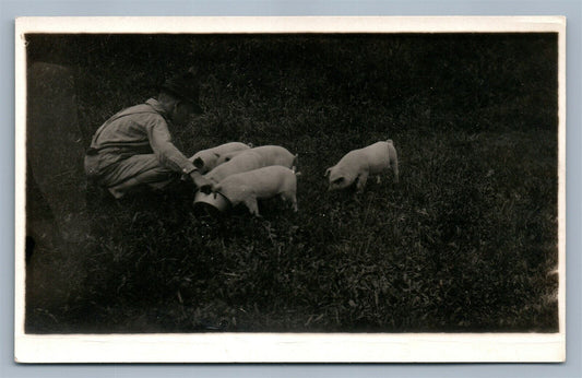 FARM SCENE MAN FEEDING PIGLETS ANTIQUE REAL PHOTO POSTCARD RPPC