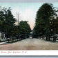 BROOKLYN NY CLINTON AVENUE ANTIQUE POSTCARD