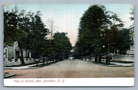 BROOKLYN NY CLINTON AVENUE ANTIQUE POSTCARD