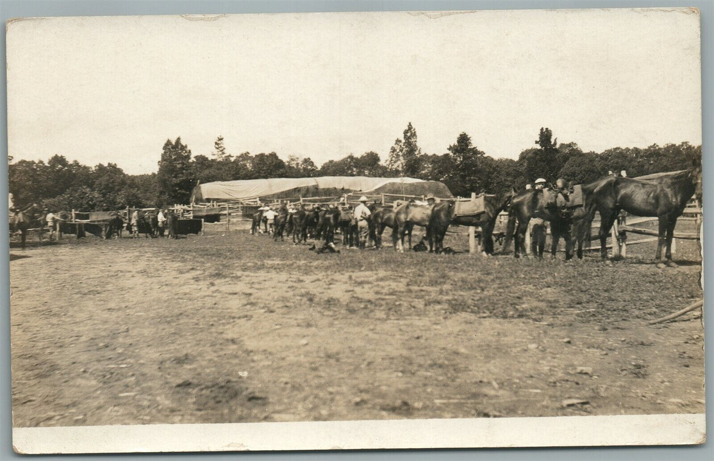 WWI ERA CAVALRY UNIT ANTIQUE REAL PHOTO POSTCARD RPPC