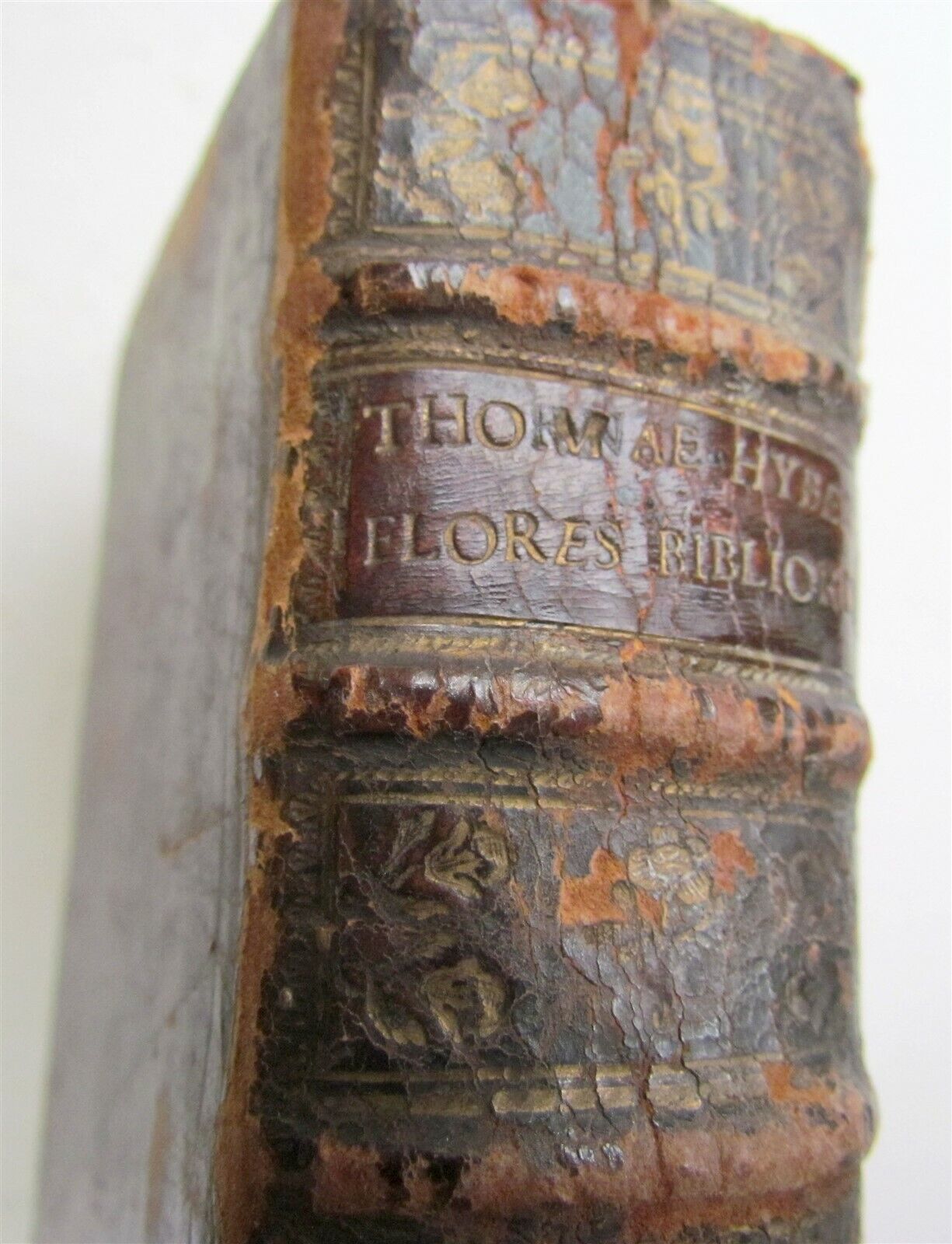 1565 BIBLE FLORES BIBLIA by PLANTIN antique 16th CENTURY