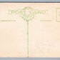 HILLSBORO NH EXAGGERATED APPLES ANTIQUE POSTCARD