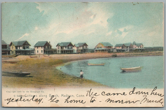 MADISON CT COTTAGES ALONG THE BEACH ANTIQUE POSTCARD