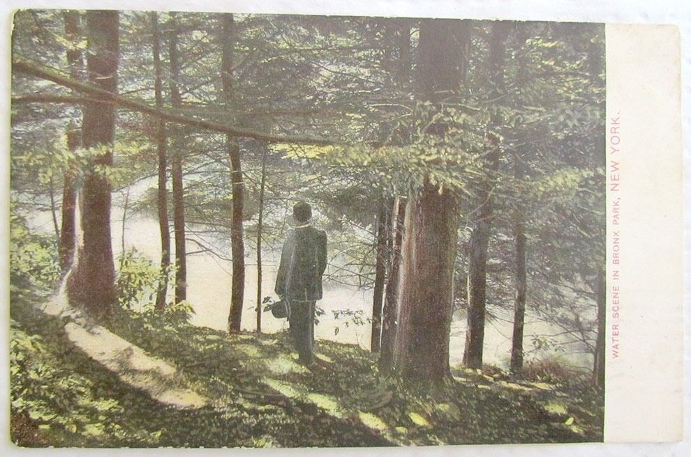 WATER SCENE IN BRONX PARK NEW YORK 1908 ANTIQUE POSTCARD