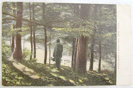 WATER SCENE IN BRONX PARK NEW YORK 1908 ANTIQUE POSTCARD