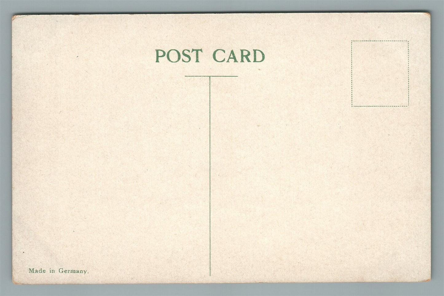 ELKA PARK CATSKILL MOUNTAINS NY ROAD FROM CLUB HOUSE ANTIQUE POSTCARD