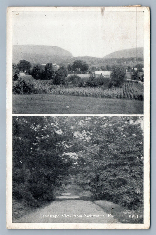 SWIFTWATER PA LANDSCAPE 1925 ANTIQUE POSTCARD