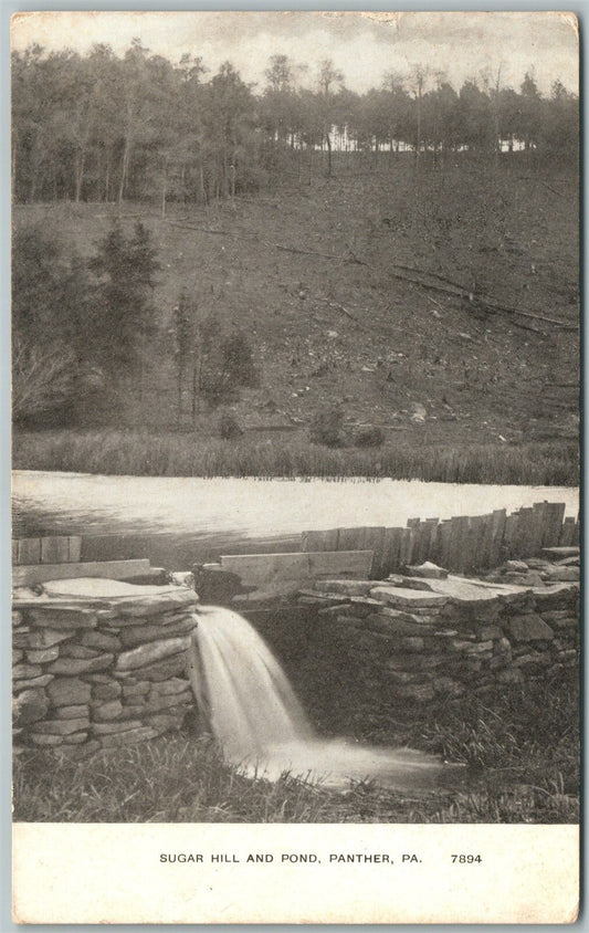 PANTHER PA SUGAR HILL & POND ANTIQUE POSTCARD
