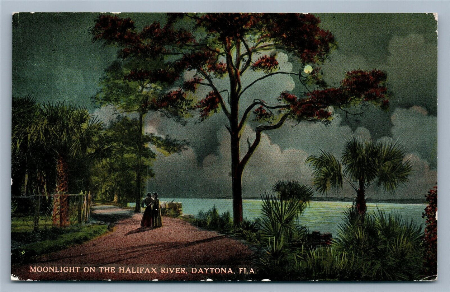 DAYTONA FL HALIFAX RIVER ANTIQUE POSTCARD w/ CORK CANCEL