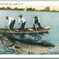EXAGGERATED FISHING ANTIQUE POSTCARD IT MAY SOUND BIG BUT HERE IT IS