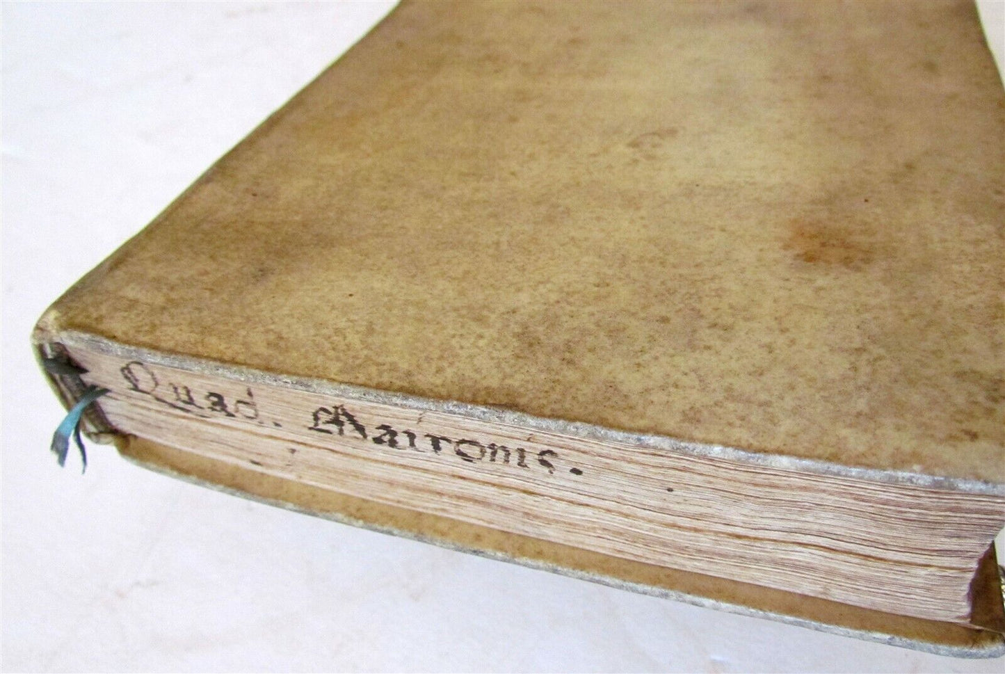 1491 INCUNABLE Franciscus de Maioranis antique INCUNABULA rare 15th CENT. vellum