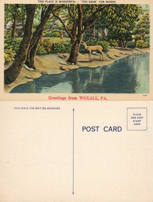 GREETINGS FROM WOXALL PA VINTAGE POSTCARD w/ DEER