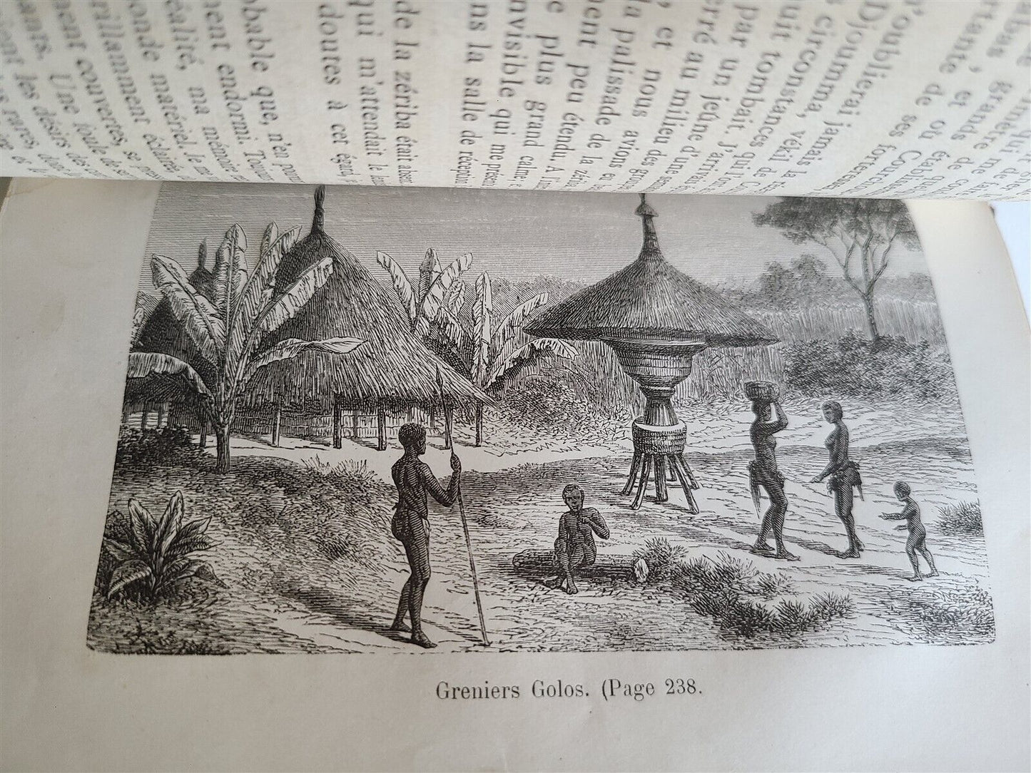 1877 AFRICAN VOYAGE by George SCHWEINFURTH antique ILLUSTRATED w/ PLATES & MAP