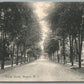 NEWTON NJ TRINITY STREET ANTIQUE POSTCARD