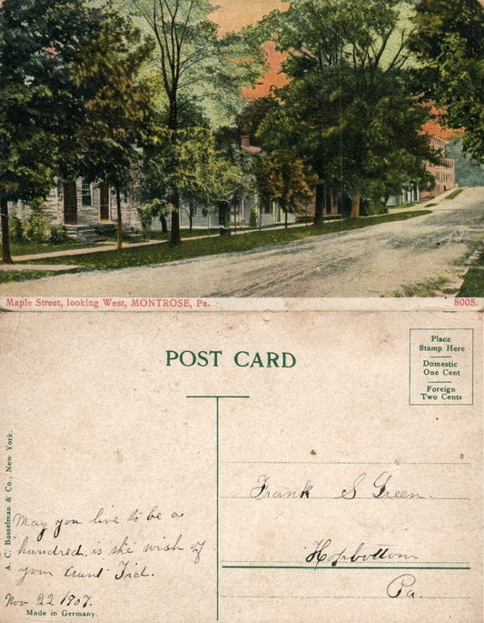 MONTROSE PA MAPLE STREET 1907 ANTIQUE POSTCARD