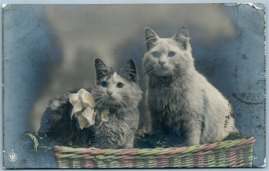 CAT COUPLE IN BASKET ANTIQUE REAL PHOTO POSTCARD RPPC