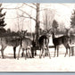 MARQUETTE MI DEER FEEDING VINTAGE REAL PHOTO POSTCARD RPPC