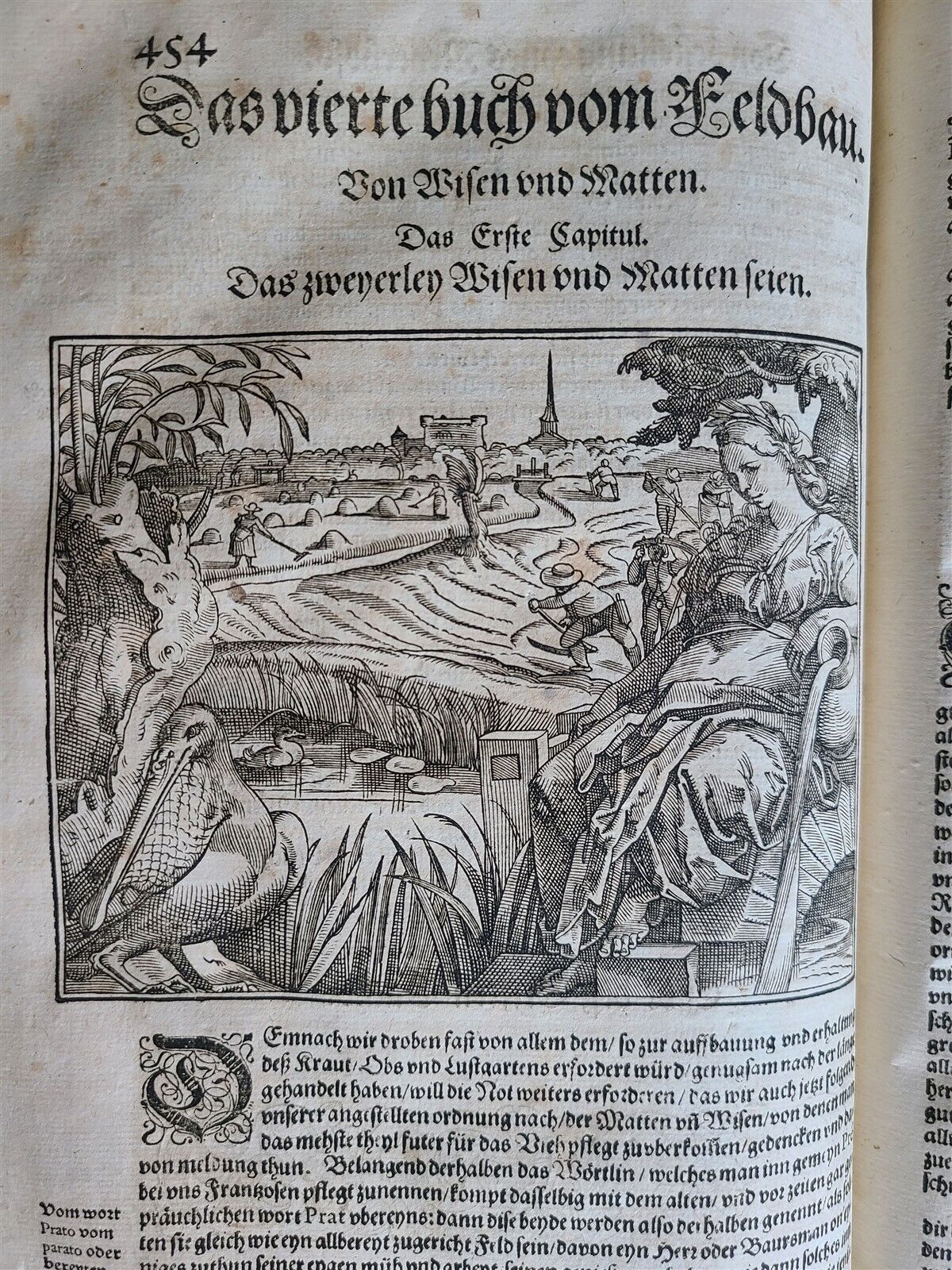 1580 ILLUSTRATED by Tobias Stimmer & J. Amman FOLIO antique HUNTING FALCONRY