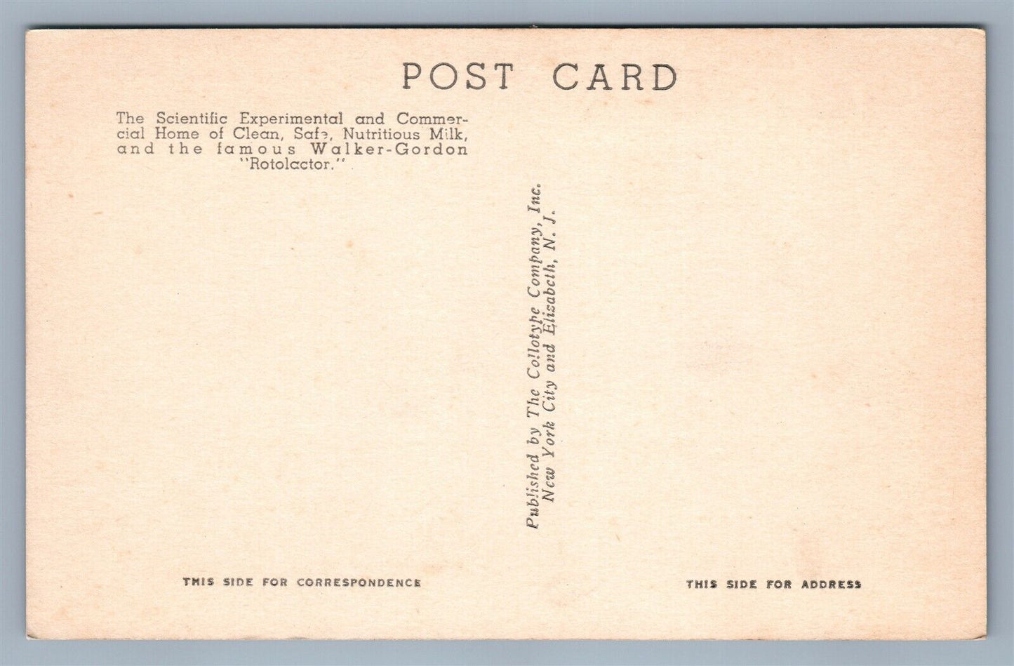 WILKER-GORDON MILK CO. ELIZABETH NJ VINTAGE POSTCARD