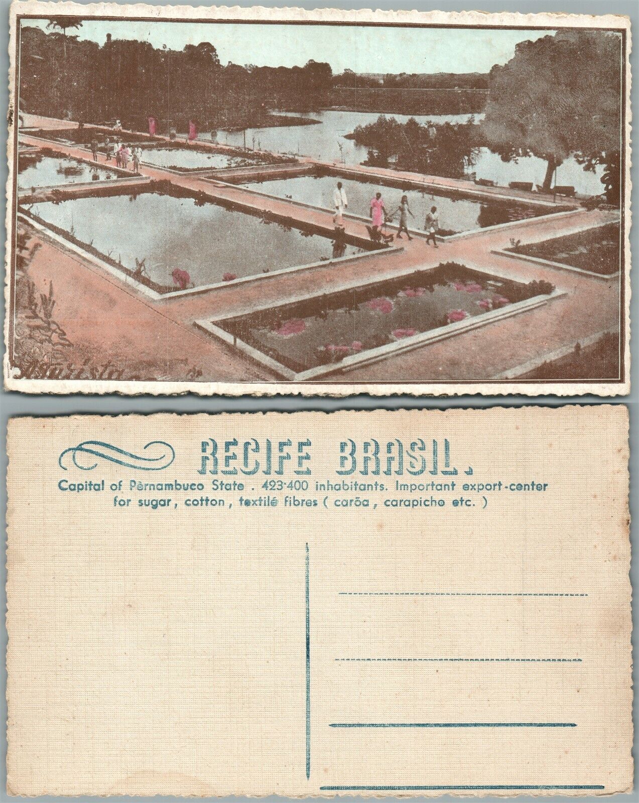 BRAZIL PONDS ANTIQUE POSTCARD