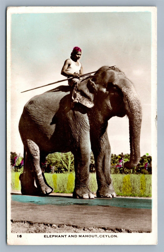 CEYLON ELEPHANT & MAHOUT VINTAGE REAL PHOTO POSTCARD RPPC w/ STAMPS SRI LANKA