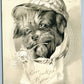 DOG in HAT with FLOWER ANTIQUE POSTCARD