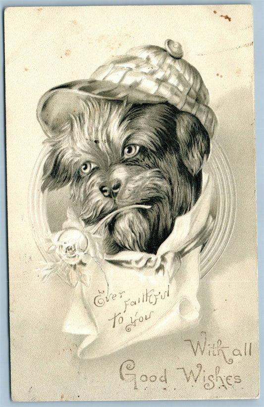 DOG in HAT with FLOWER ANTIQUE POSTCARD