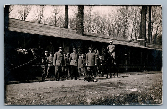 GERMAN MILITARY OFFICERS w/ DOG ANTIQUE REAL PHOTO POSTCARD RPPC