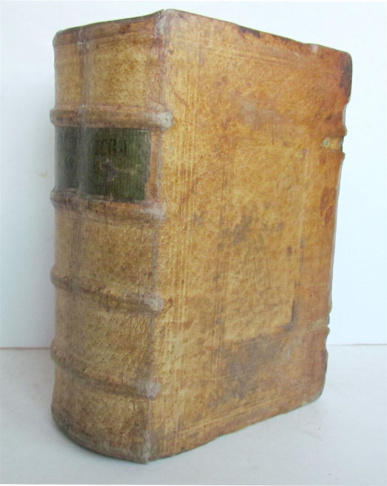 1585 BIBLE ILLUSTRATED Jost Amman & Virgil Solis BIBLIA SACRA antique PIGSKIN