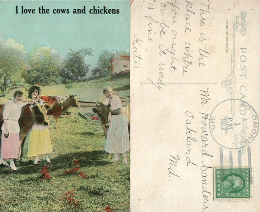 I LOVE THE COWS & CHICKENS FARM SCENE 1907 ANTIQUE POSTCARD