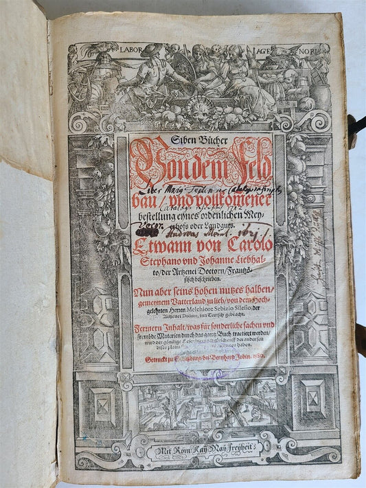 1580 ILLUSTRATED by Tobias Stimmer & J. Amman FOLIO antique HUNTING FALCONRY