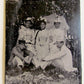 TINTYPE PHOTO SISTERS w/ MEN ANTIQUE