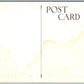 SUSQUEHANNA RIVER PA FLOOD SCENE ANTIQUE POSTCARD