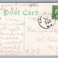 EARLVILLE NY DRIVING ANTIQUE POSTCARD