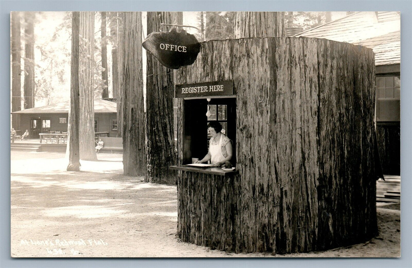 LANE'S REDWOOD FLAT CA VINTAGE REAL PHOTO POSTCARD RPPC