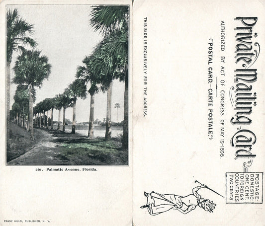 PALMETTO AVENUE FL ANTIQUE POSTCARD PRIVATE MAILING CARD