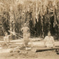 ASIAN CHINA? LOGGING WORKERS ANTIQUE REAL PHOTO POSTCARD RPPC