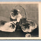 3 CATS w/ BASKET VINTAGE REAL PHOTO POSTCARD RPPC